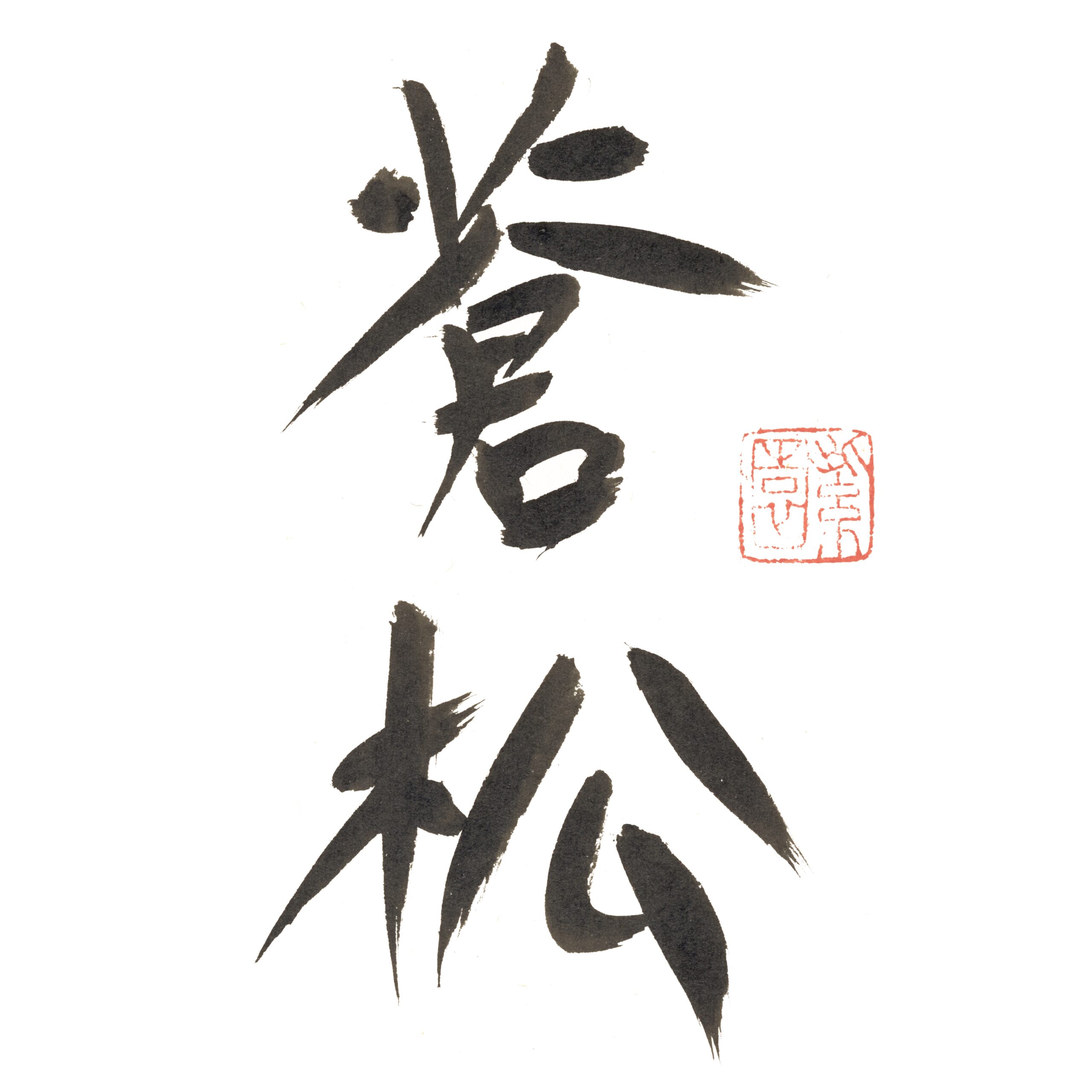 Cāng Sōng Tai Ji Quan
